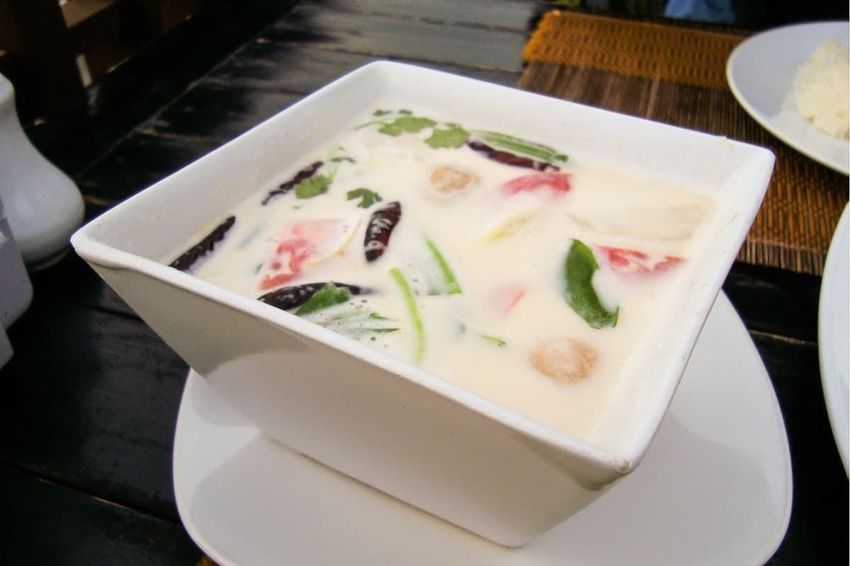 Tom kha gai coconut chicken soup with herbs, chiles, and mushrooms in a white bowl