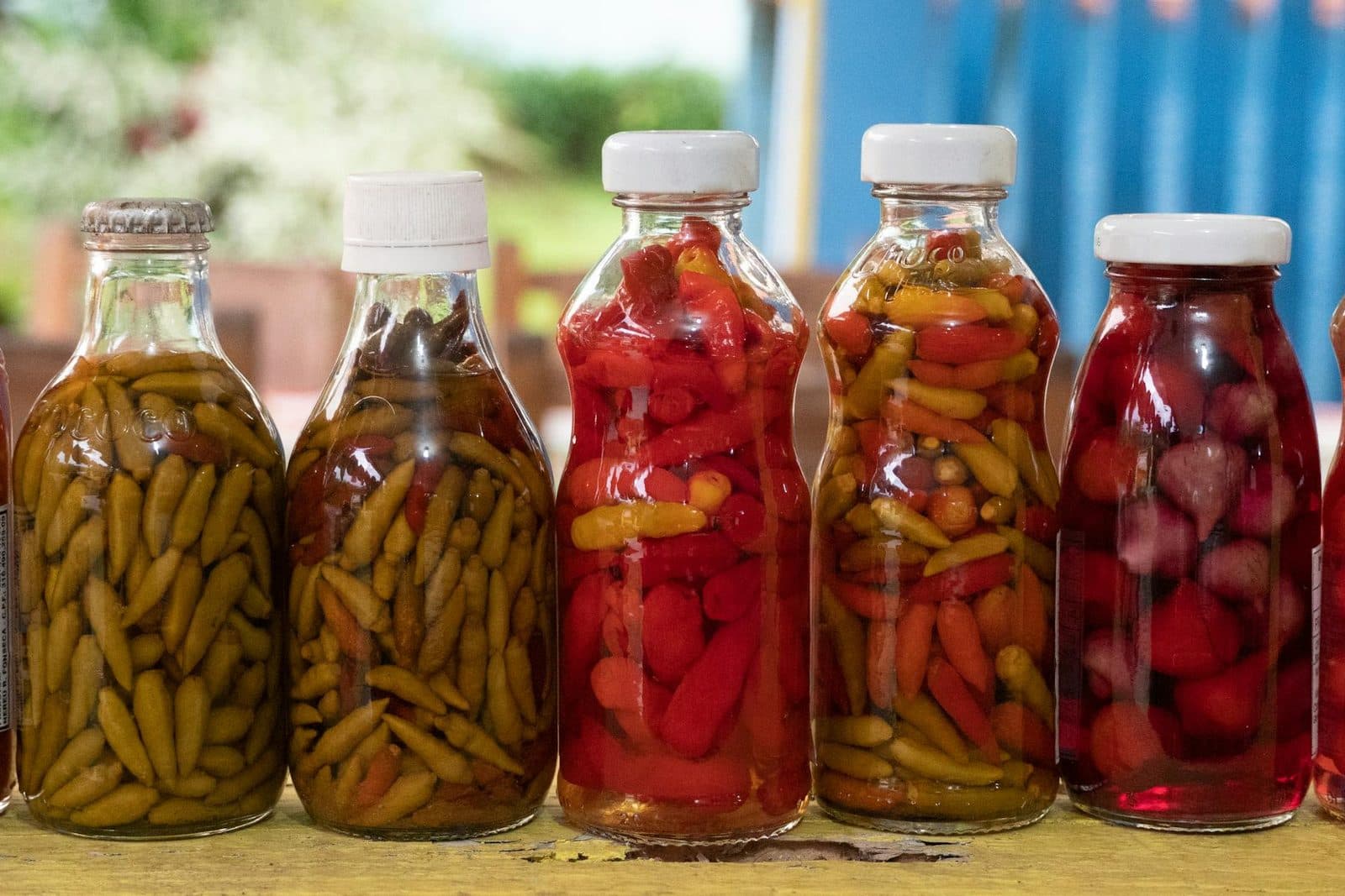 Fermented hot sauce peppers packed in glass bottles with red, green, and yellow chiles