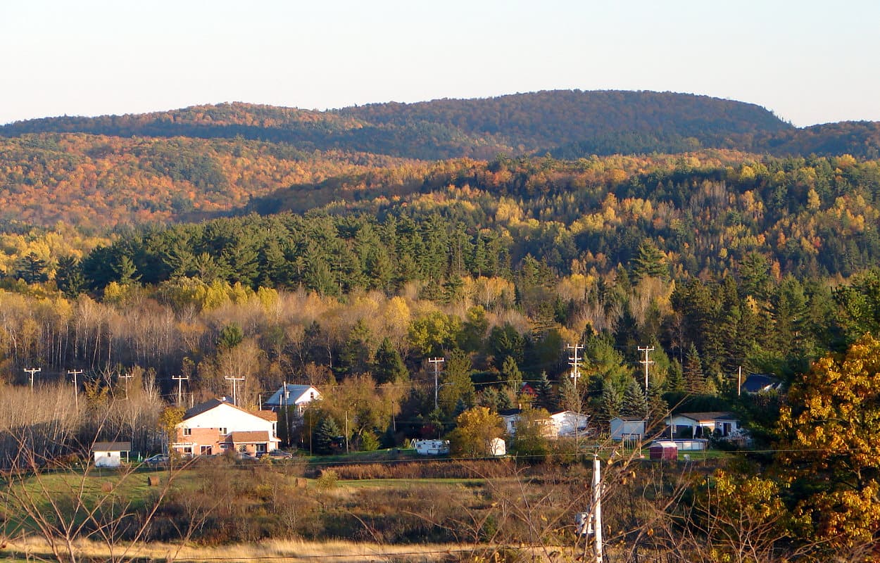Low-carb Greek salmon salad with feta and olives
