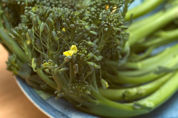 Charred broccolini with lemon garlic and parmesan